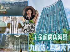 九龙站 高鉄站 上盖 靓园景两房 人无我有! 低税购香港房