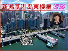 北角 新鸿基楼皇全维港景 先住后付! 低税购香港房