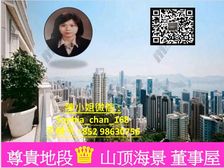 山顶 维港海景 董事屋 稀缺地段 千載難逢! 低税购香港房