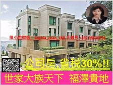 山顶 维港海景董事屋 公司房稅0.2% 君临天下 稀缺资源