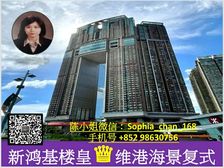 九龙站 高鉄站 新鸿基楼皇凱旋門 维港海景天际复式户