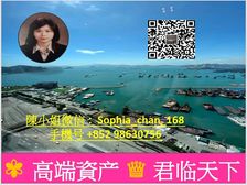 九龙站 新鸿基天玺 优质四房海景房 人无我有! 低税购香港房