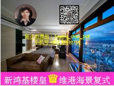 九龙站 高鉄站 新鸿基楼皇凯凱旋門 維港烟花海景复式户