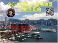 九龙站 高鉄站 东方明珠 维多利亚海港烟花海景 近在咫尺