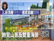 大埔 连接大湾区 湖光山色园林美景 先租后买 !低税购香港房