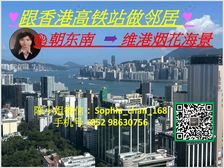 高鉄站 生活圈 海景尖子房 人无我有! 低税购香港房