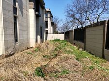 朱家角1号 联排边套 毛坯大院子!