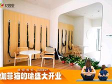 吴南带租约现铺,总价低不限业态