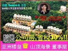 山顶 维港海景董事屋 公司房稅0.2% 君临天下 稀缺资源