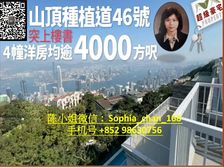 山顶 维港海景 董事屋 稀缺地段 千載難逢! 低税购香港房
