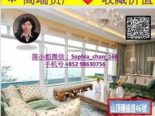 山顶 维港海景 董事屋 稀缺地段 千載難逢! 低税购香港房