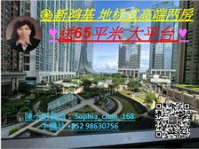 九龙站 高铁站 新鸿基凯旋门 地标小区两房! 低税购香港房