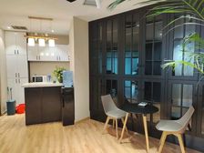 瀚海璞丽239平精装带家具出租