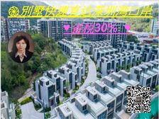 黄金海岸 邻近口岸大湾区 哈罗国际! 低税0.2%大湾区别墅