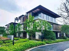 新区科技城独栋商业办公,总价650万起