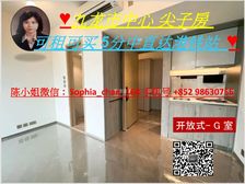 九龙市中心大学 尖子房 5直到港铁站! 低税购香港房