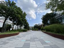 国际时尚园区公园里 常营地铁口99平开间给钱就租 特价急租