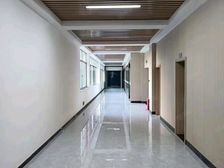 麓谷橡树园产业园区,租金含税,可现状租可定制装修,停车便宜