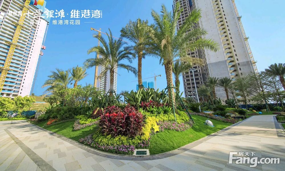 5折出售碧桂园十里银滩维港湾101平方海景三房双卫