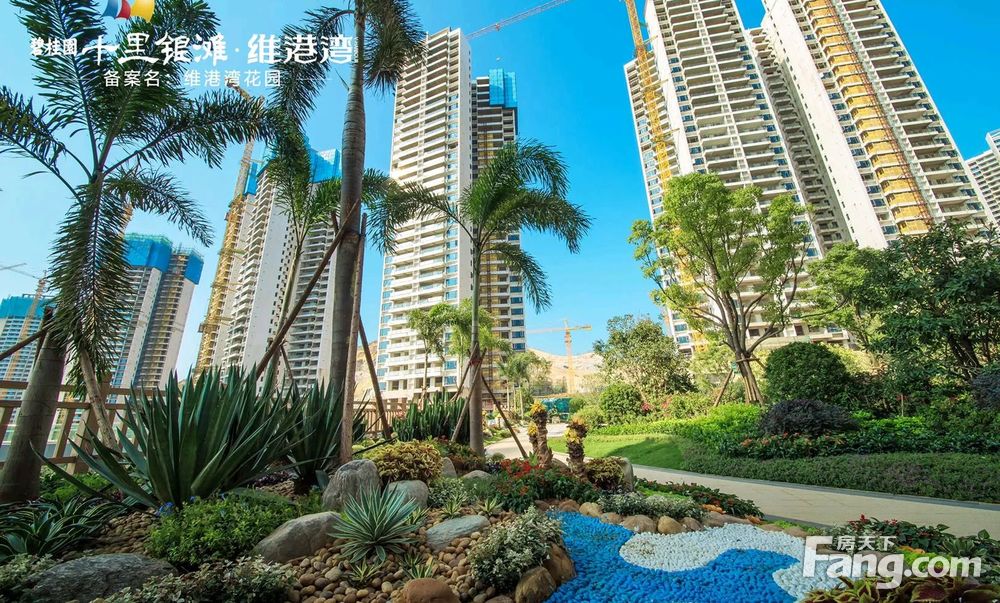 5折出售碧桂园十里银滩维港湾101平方海景三房双卫