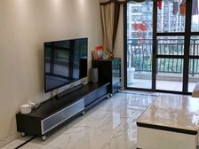 碧桂园紫宸府 大4房南北通透双阳台