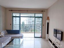 埌东十四中 非常适合陪读的小区。南湖国际广场旁边