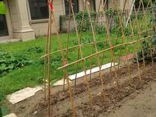 金新御园联排别墅毛坯带院子中间户324平720万随时看房