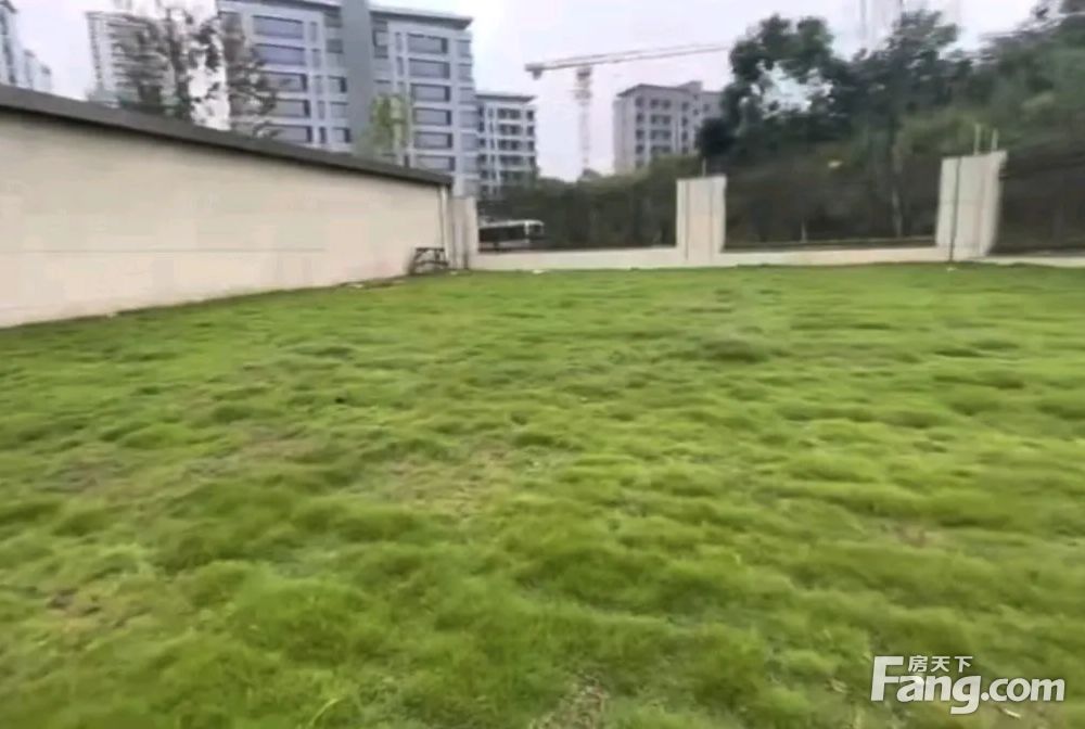 实景图