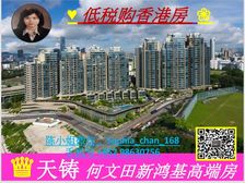 何文田站 新鸿基地標小区 高增值 高端房 尖子校区