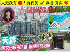 何文田站 新鸿基地標复式户 高增值 高端房 尖子校区