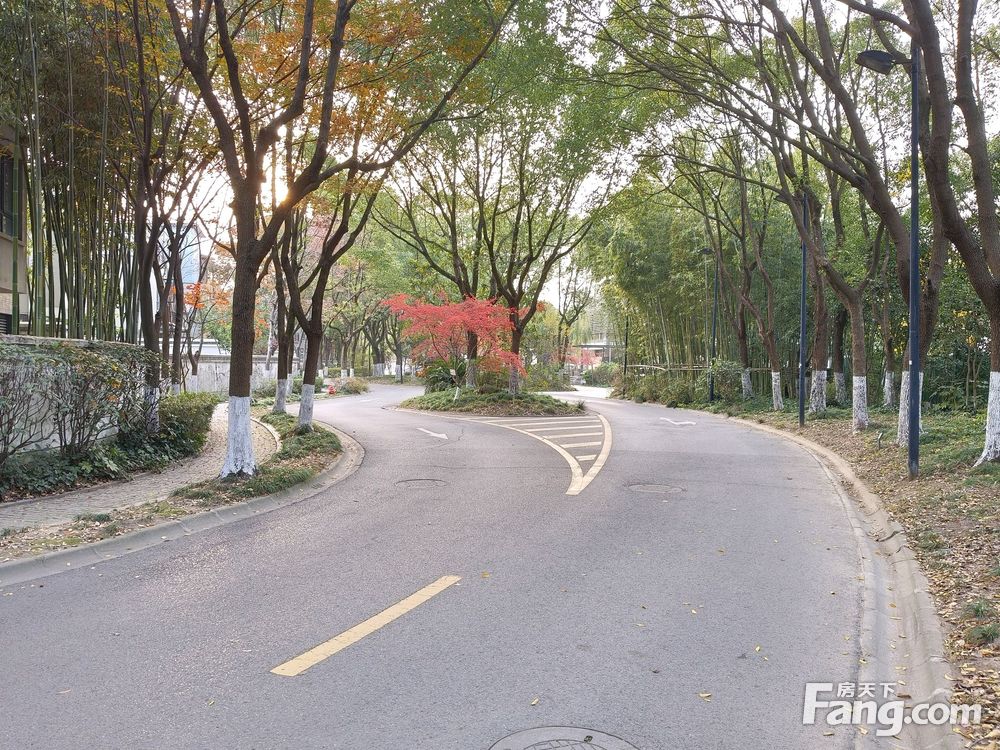 小区相关图