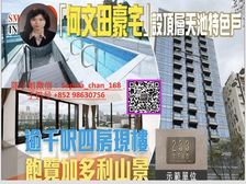 新鸿基 九龙市中心 精品时尚 空中天池户 大都会城市灿烂夜景