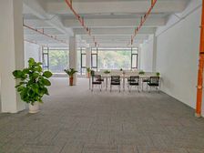 海珠琶洲南双地铁 创意园 独层独户 户型全采光 直播电商