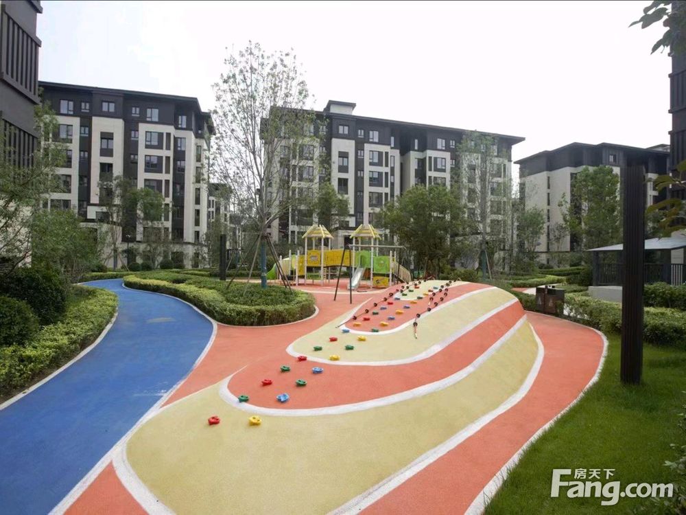 实景图