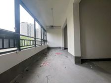 新交房的新小区,环境好,楼间距大