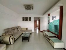 近金山小,金山佳园,电梯高层,端头四房,居家自住,看房有钥匙