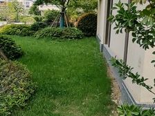 一楼带大院子,纯边户,小区最前排