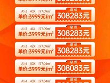 海吉星5.09高单价3字头起现房