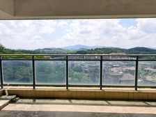 鼎峰源著大平层,无欠款,五房,观植物园景观,随时看