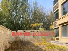 实墙大院子 白浪河畔洋房大平层带院带负一 前后侧院