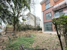 朱家角翠苑 双拼大别墅 大院子!