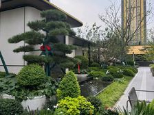 自家公司代理 江山赋 团购更省价格更合适