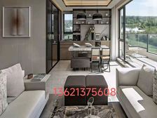 中央别墅区御河板块 花园,大落地窗,实景现房