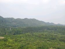 城区次新盘,万科皇马郦宫,中高楼层东边户