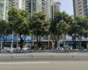 世博广场旁每月金6000元
