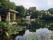 真实!全城少有小区电梯复式三层使用,珑城半山毛坯6房