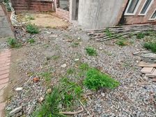 真实!有200平方大花园,今古洲三层高别墅