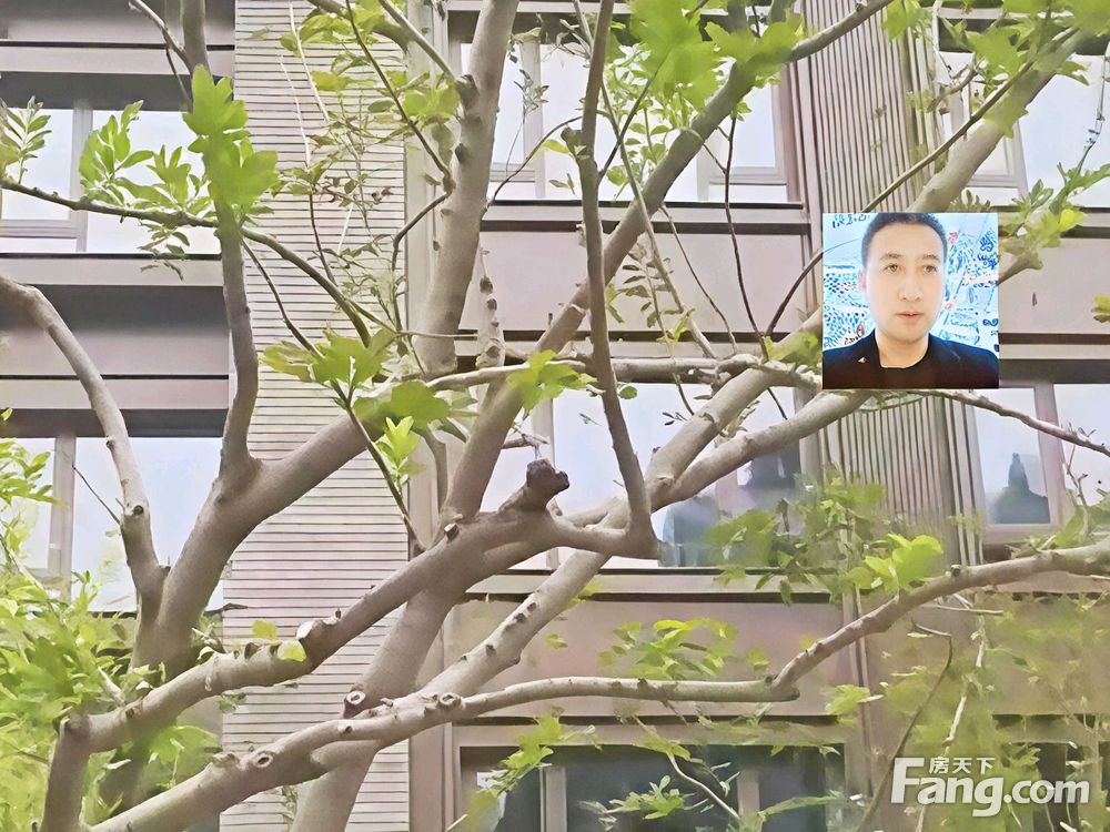 室内图