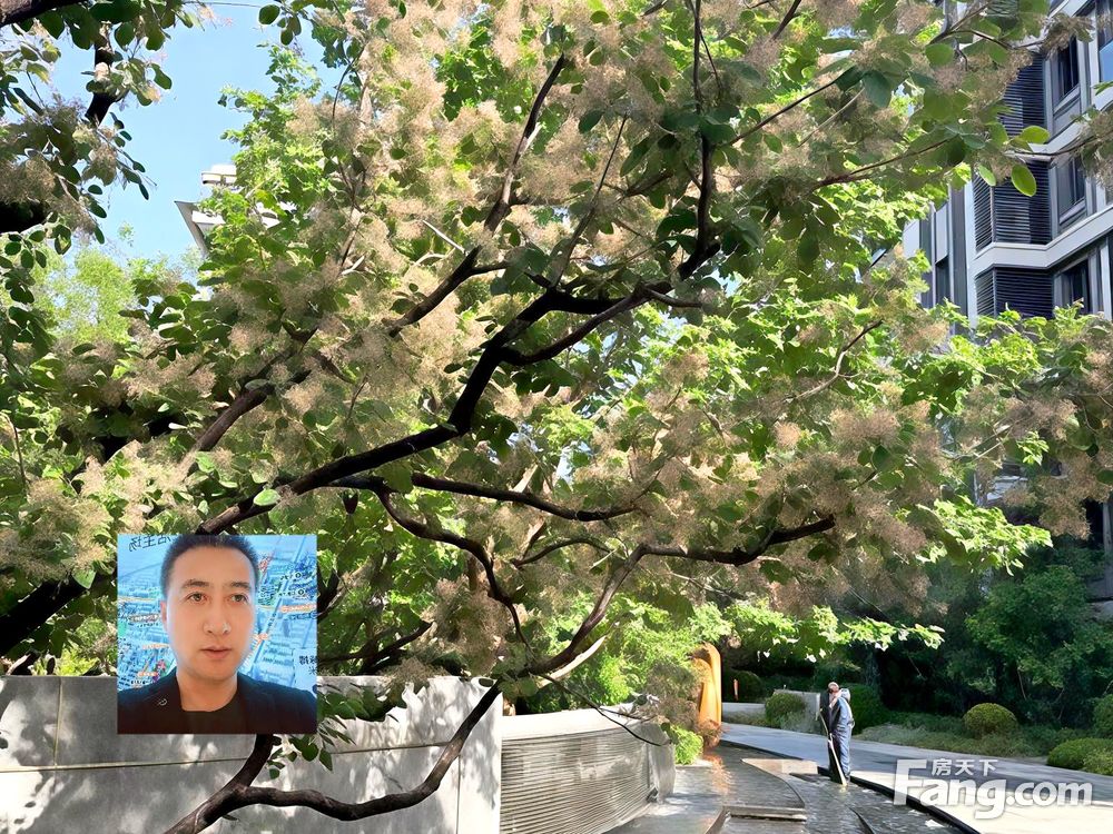 室内图
