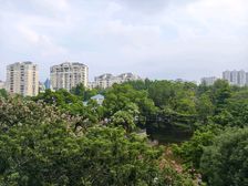 中信凯旋城三期,两梯两户大平层,诚意出售价格好谈